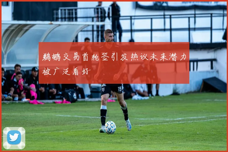 鹈鹕交易首轮签引发热议未来潜力被广泛看好