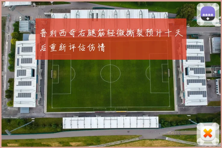 普利西奇右腿筋轻微撕裂预计十天后重新评估伤情