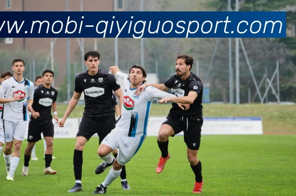 App Interface Preview